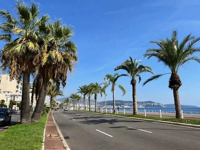 Jardin Sur La Promenade Des Anglais